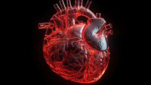 Artificial Intelligence in Cardiovascular Imaging